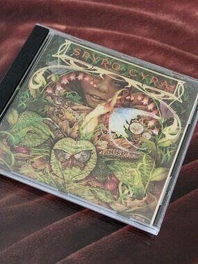 Spyro Gyra - Morning Dance - 1985 - CD - MCAD37148